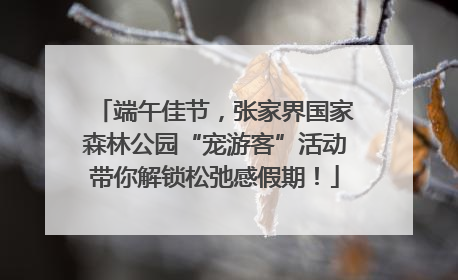 端午佳节，张家界国家森林公园“宠游客”活动带你解锁松弛感假期！